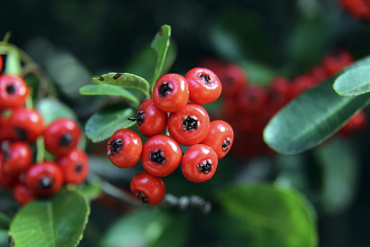 步加强了中 步加强了中