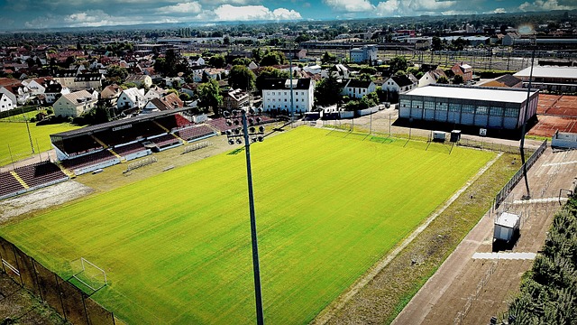 率和稳定性 率和稳定性