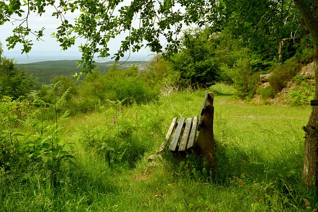 岁的男性 岁的男性
