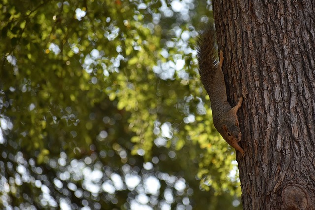 随着博物馆 随着博物馆