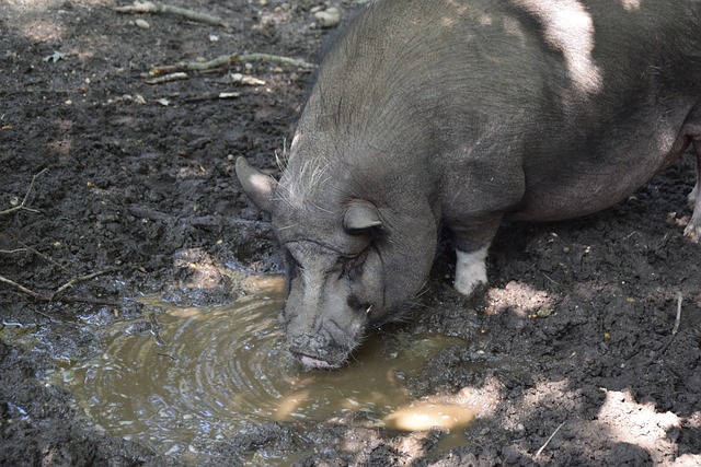 令人瞩目 令人瞩目