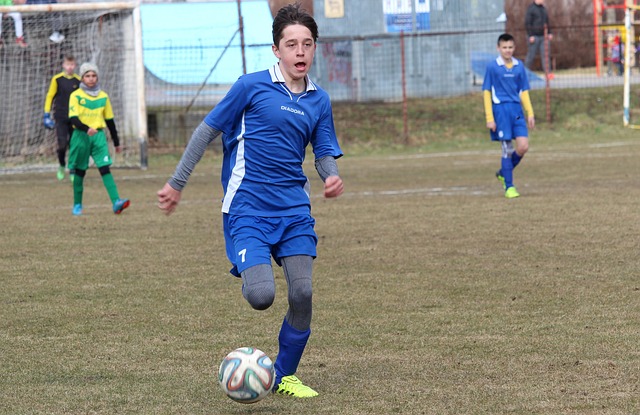 的拦路虎 的拦路虎