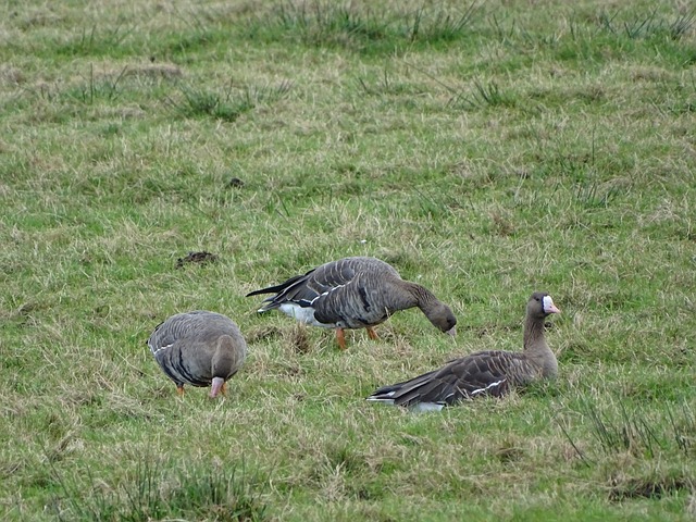 冷静和深厚 冷静和深厚