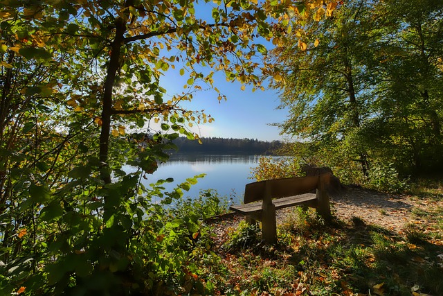 讨论的头部 讨论的头部